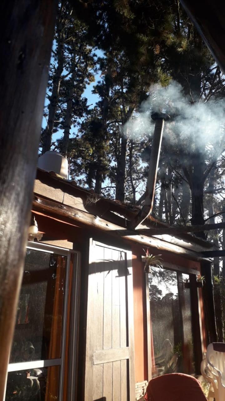 la casita del bosque