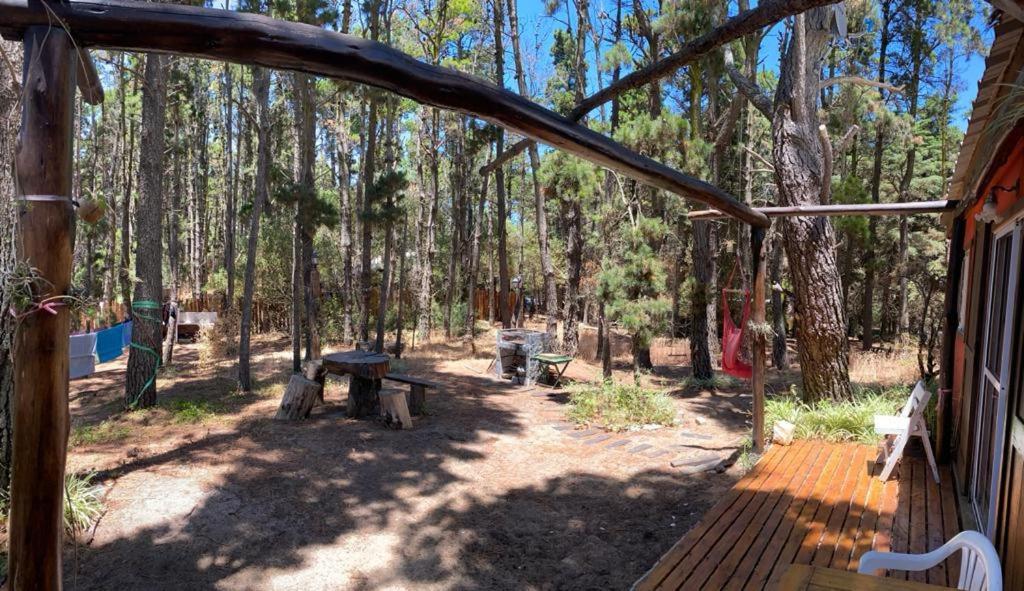 la casita del bosque