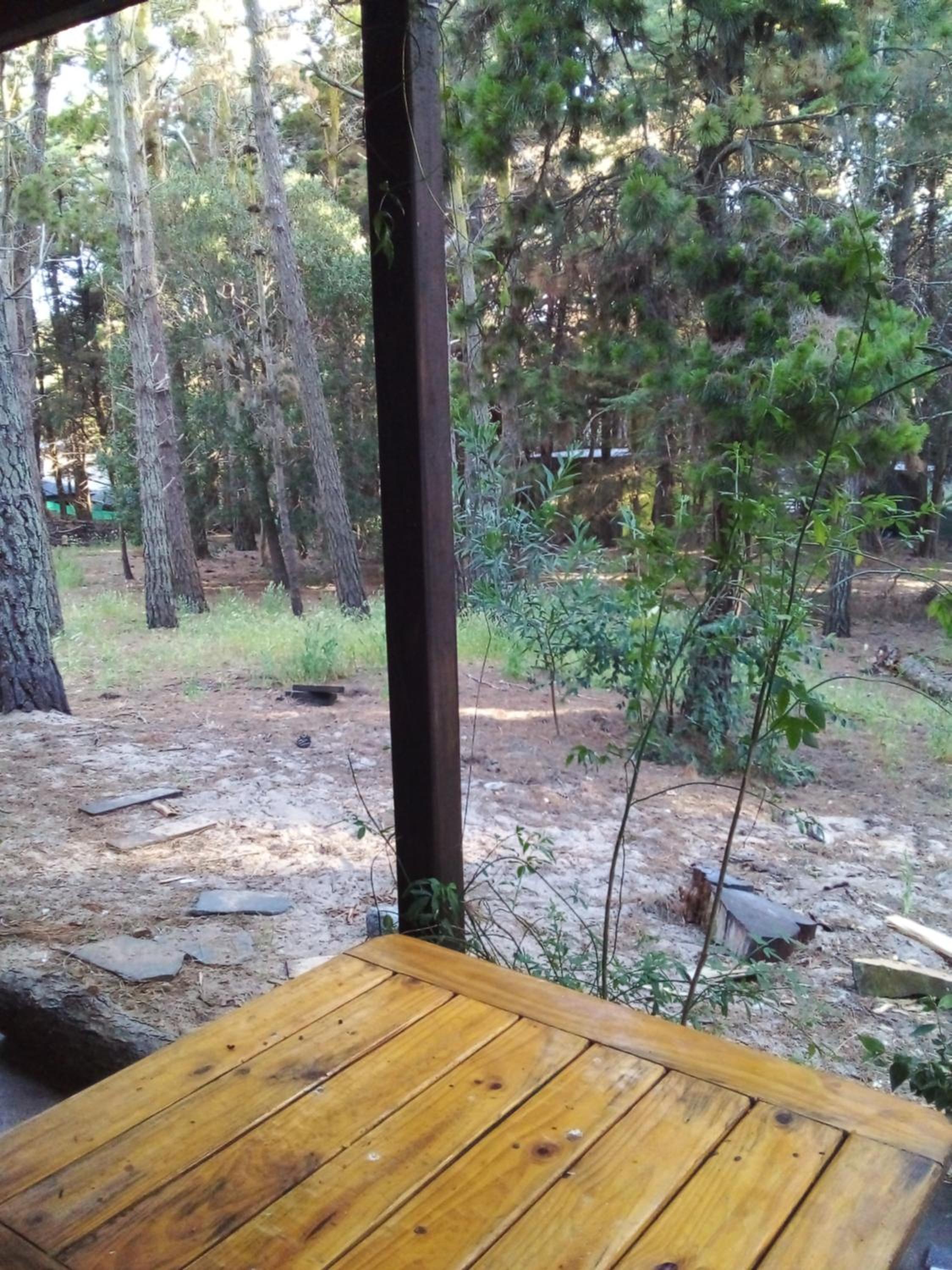 la casita del bosque