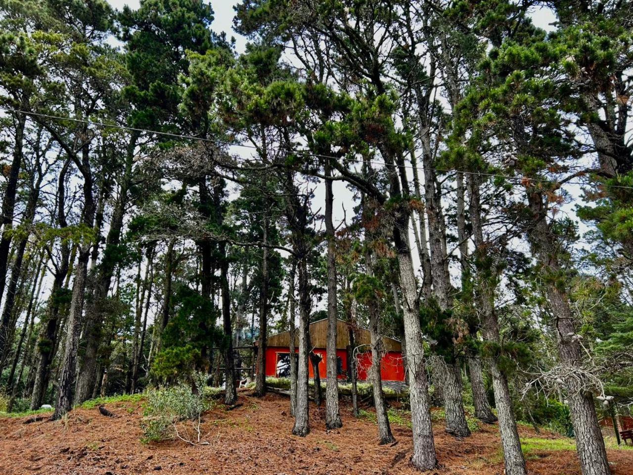 la casita del bosque