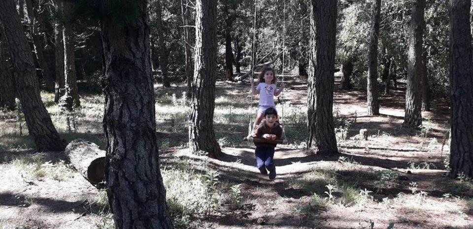 la casita del bosque