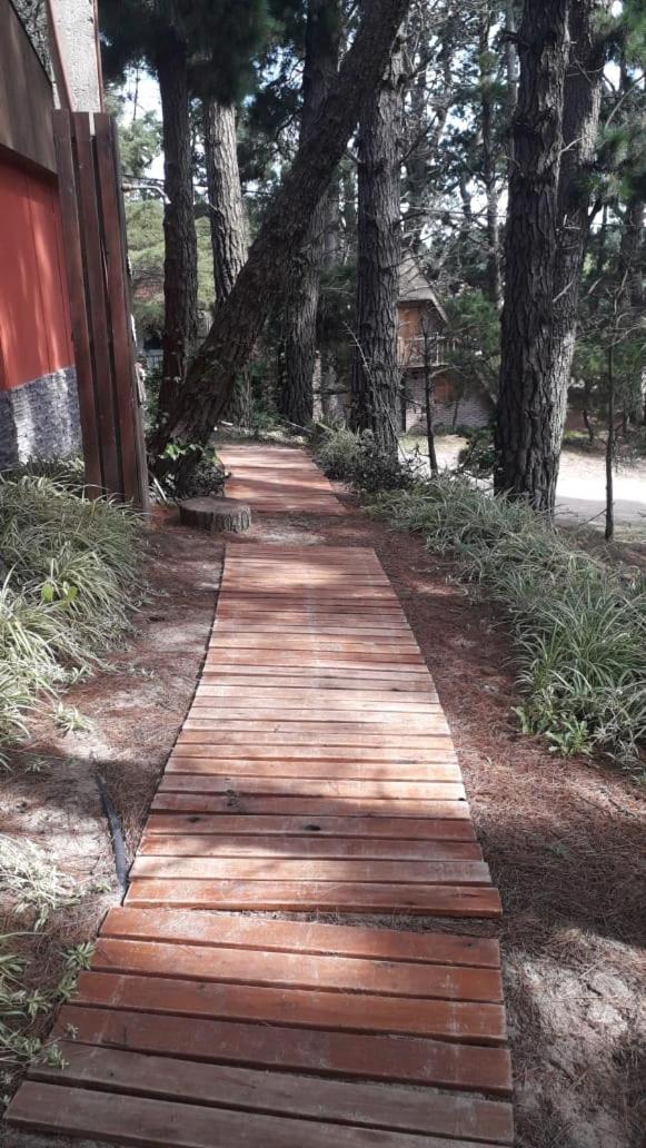 la casita del bosque