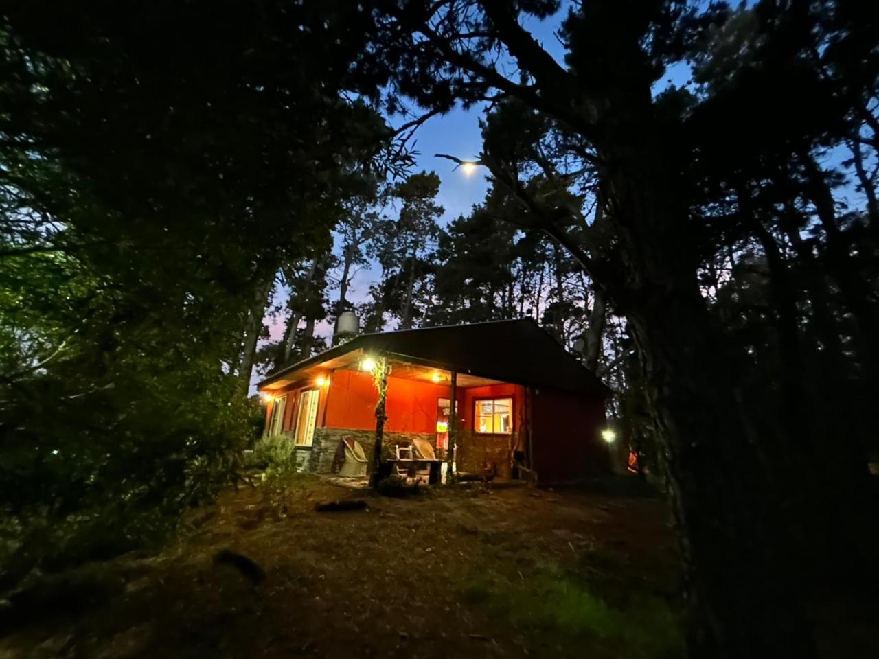 la casita del bosque