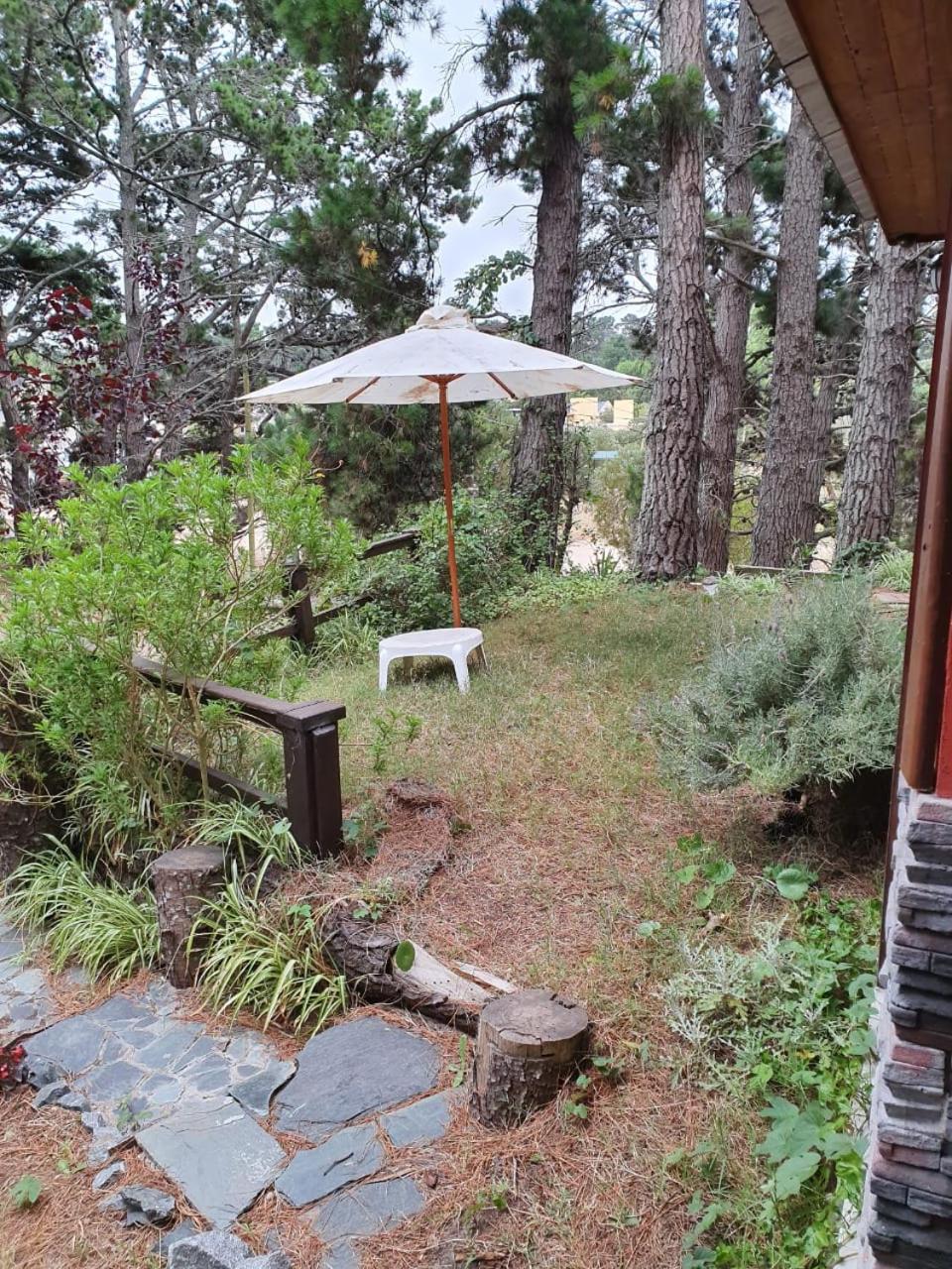 la casita del bosque