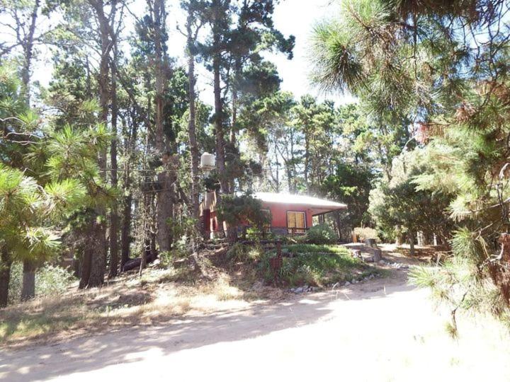 la casita del bosque