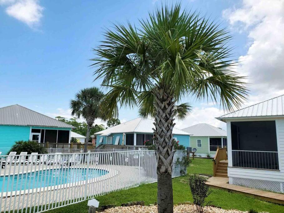 Photo 97