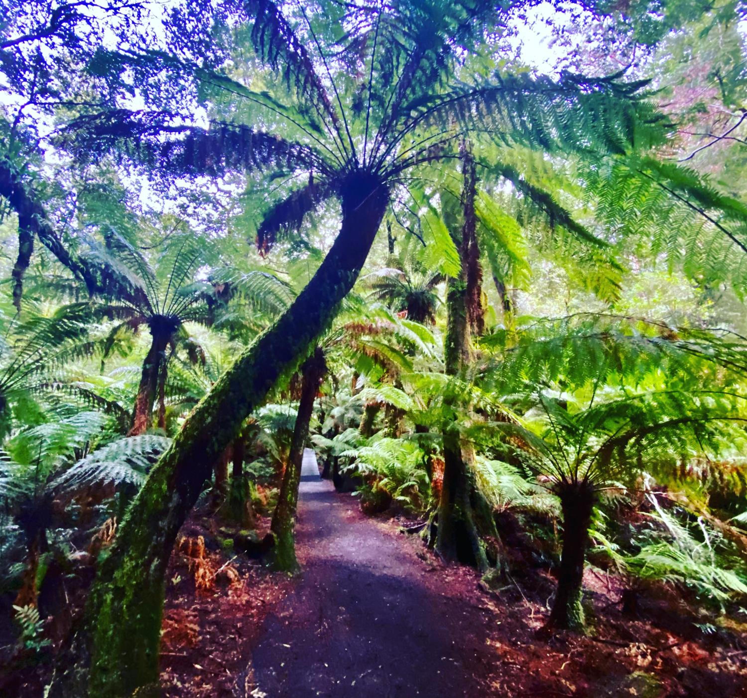 Great Ocean Road Wellness and Nature Stay
