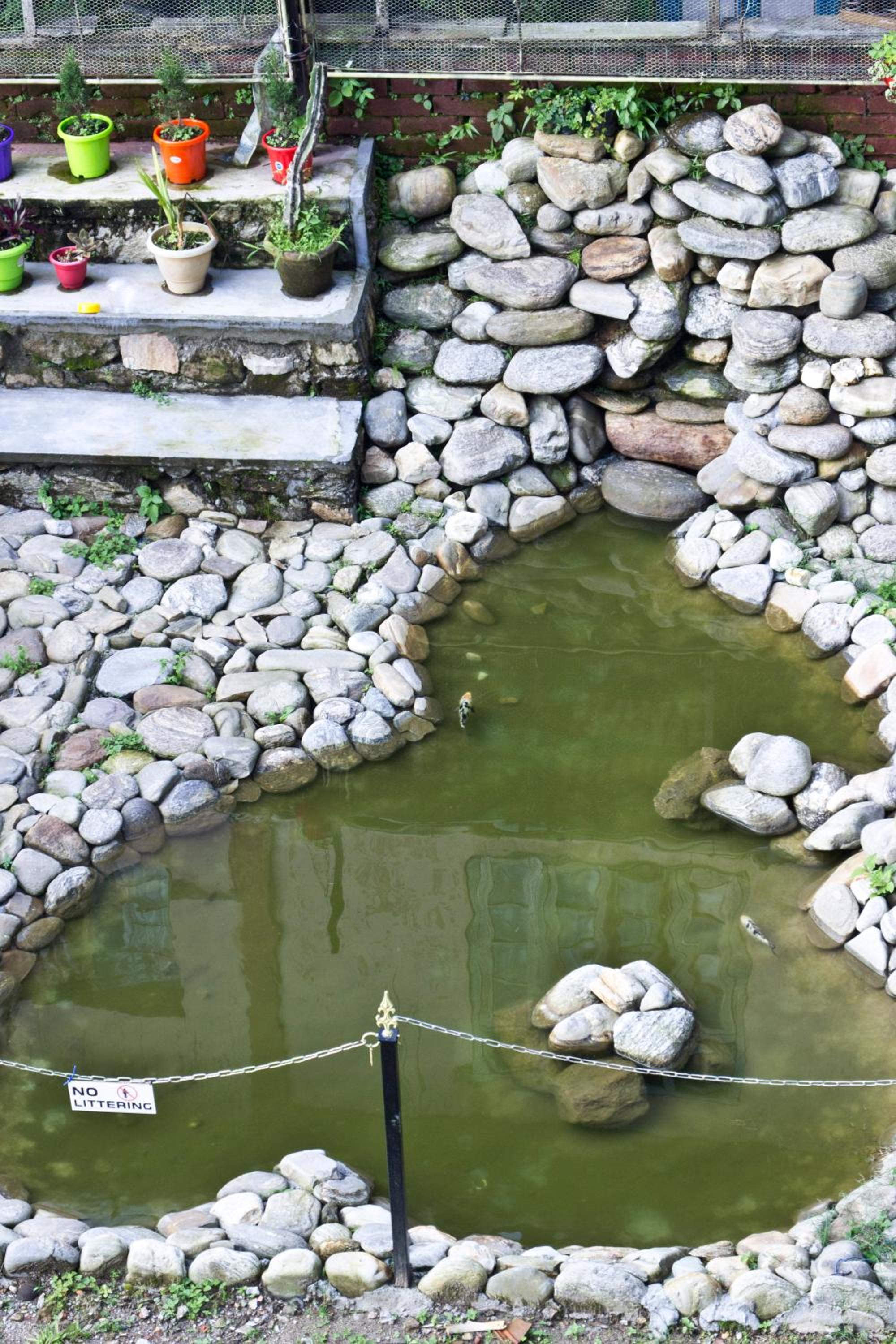 the DEW DROP HOME STAY, photo 77