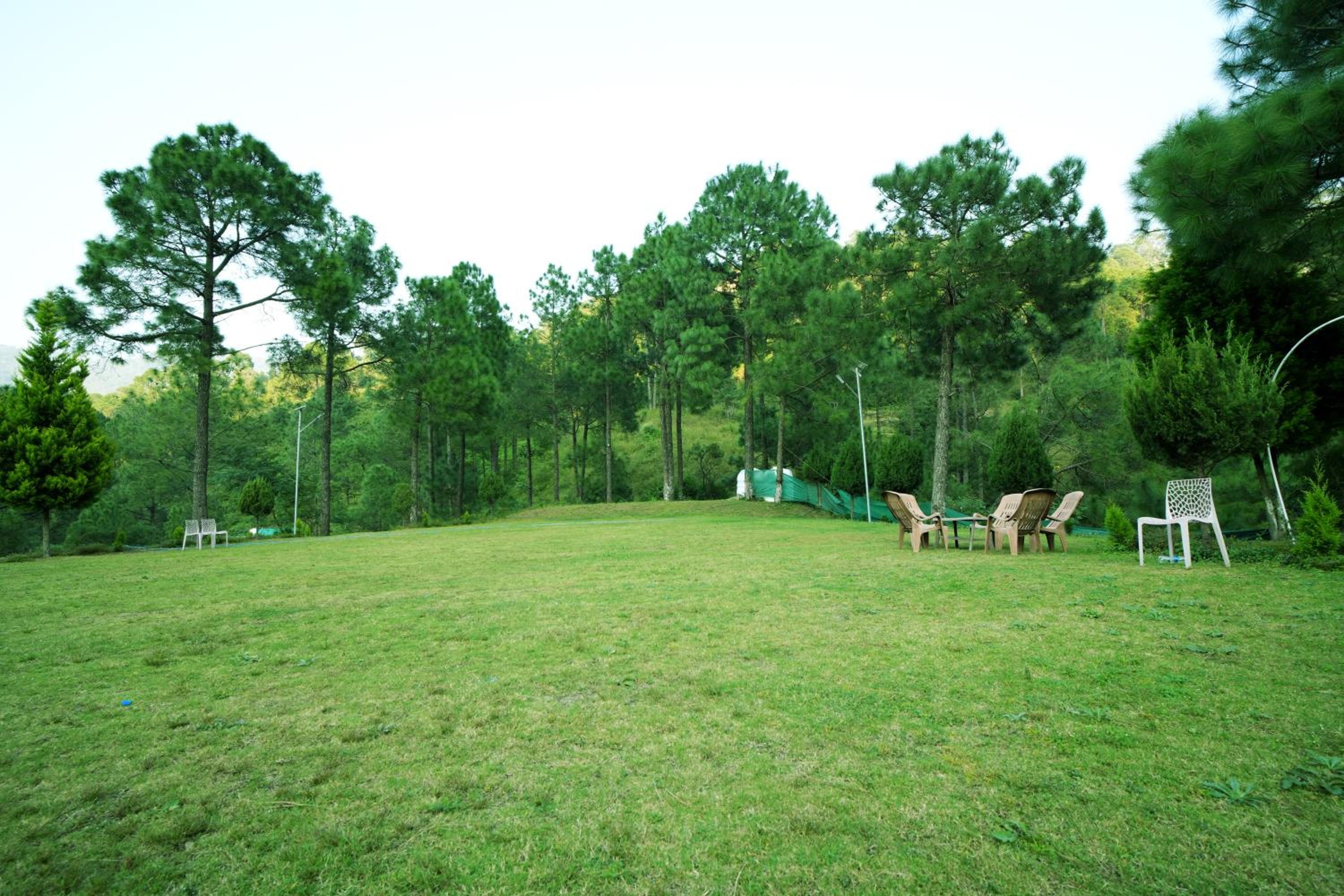 Pineland Resorts & Chalets Kasauli view 5