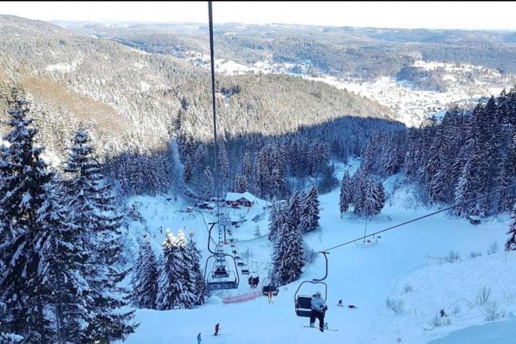Hundeparadies Waldblick Lauenstein
