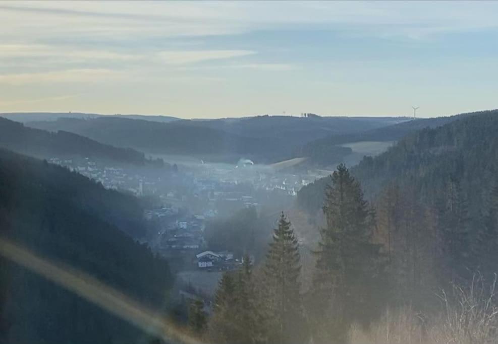 Hundeparadies Waldblick Lauenstein