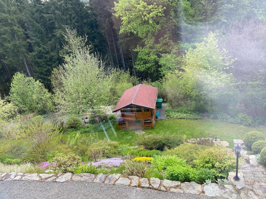 Hundeparadies Waldblick Lauenstein