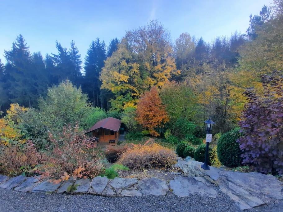 Hundeparadies Waldblick Lauenstein