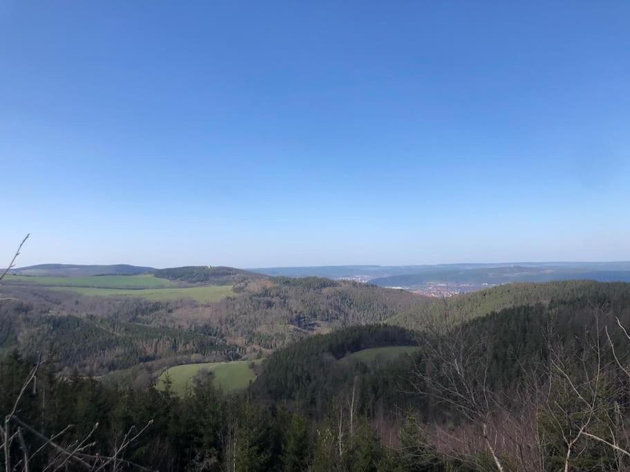 Hundeparadies Waldblick Lauenstein