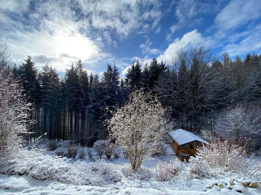 Hundeparadies Waldblick Lauenstein