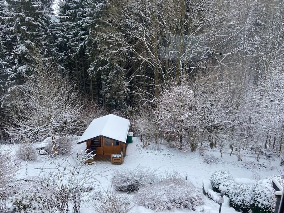 Hundeparadies Waldblick Lauenstein