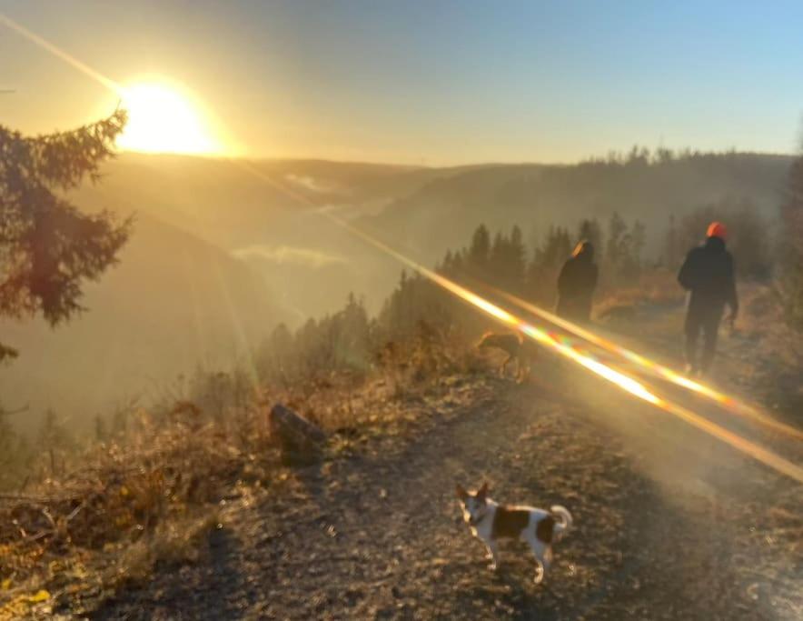 Hundeparadies Waldblick Lauenstein