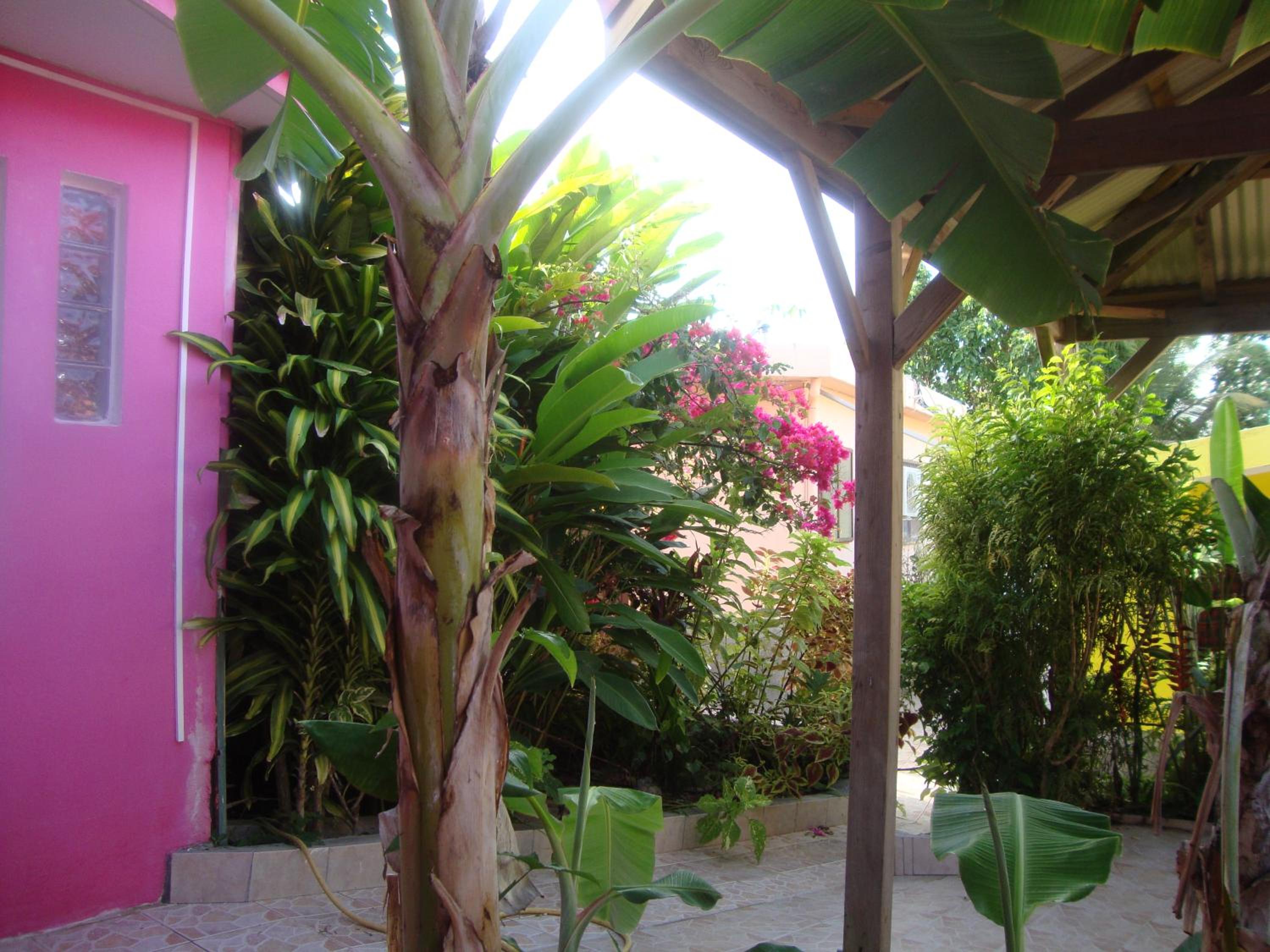 Photo 27
