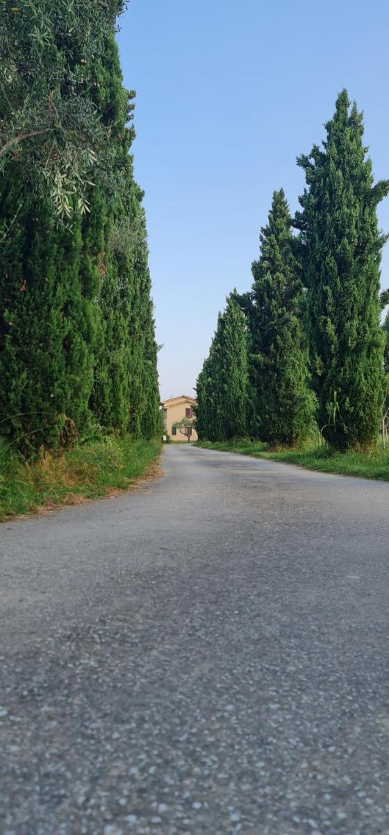 Photo 100