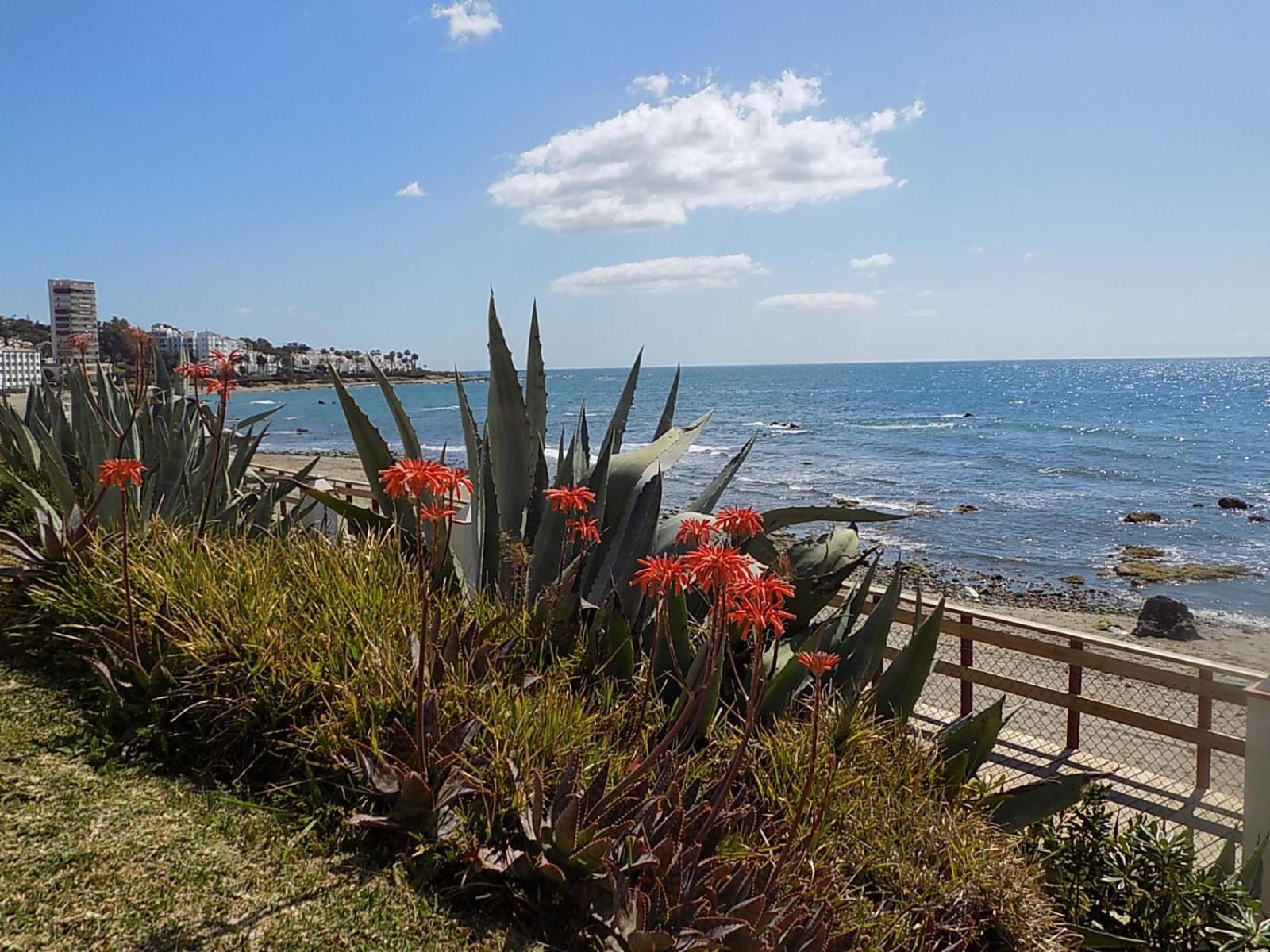 Playa Lucera - ground floor apartment with sea views CS126 photo 5