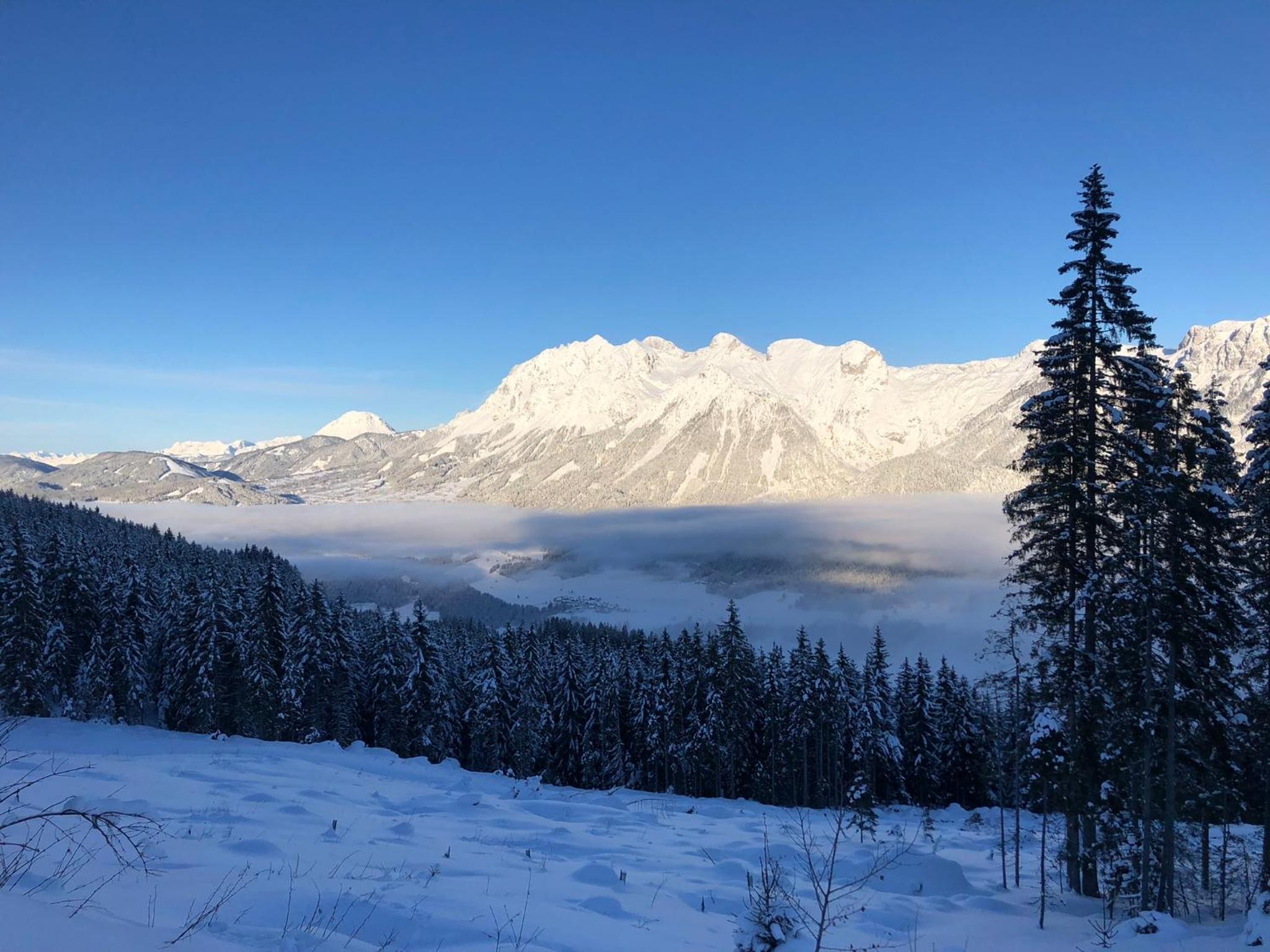 Luserblick