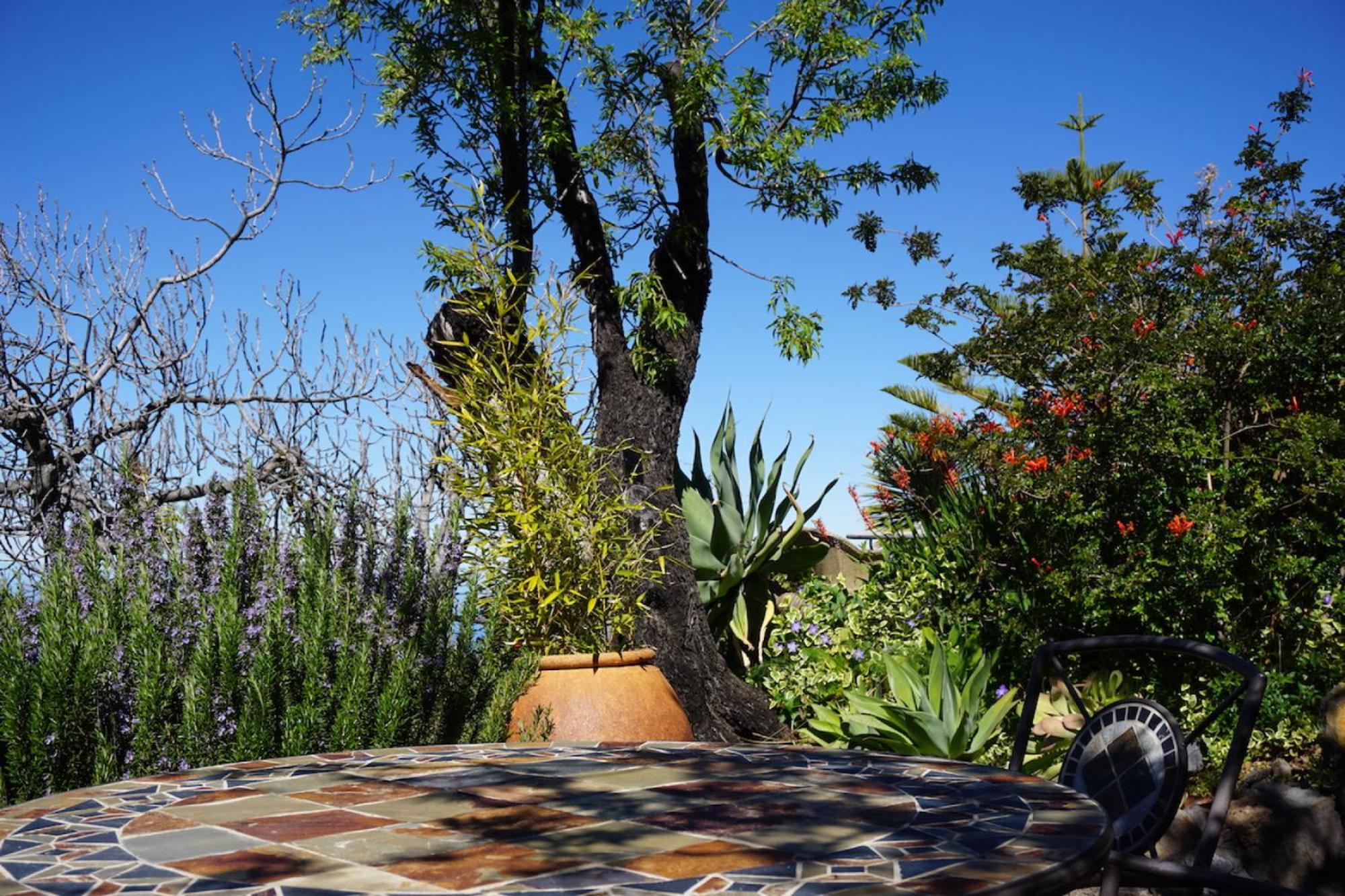 Romantik Finca El Rincon