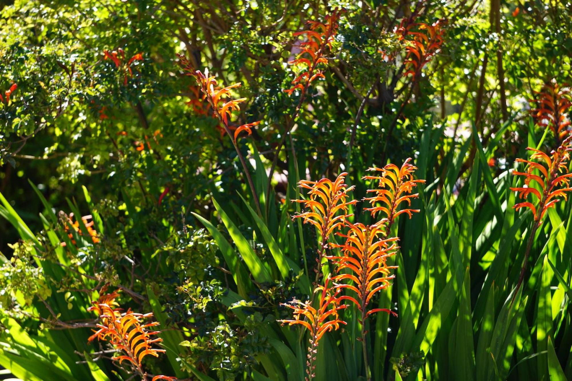 Romantik Finca El Rincon