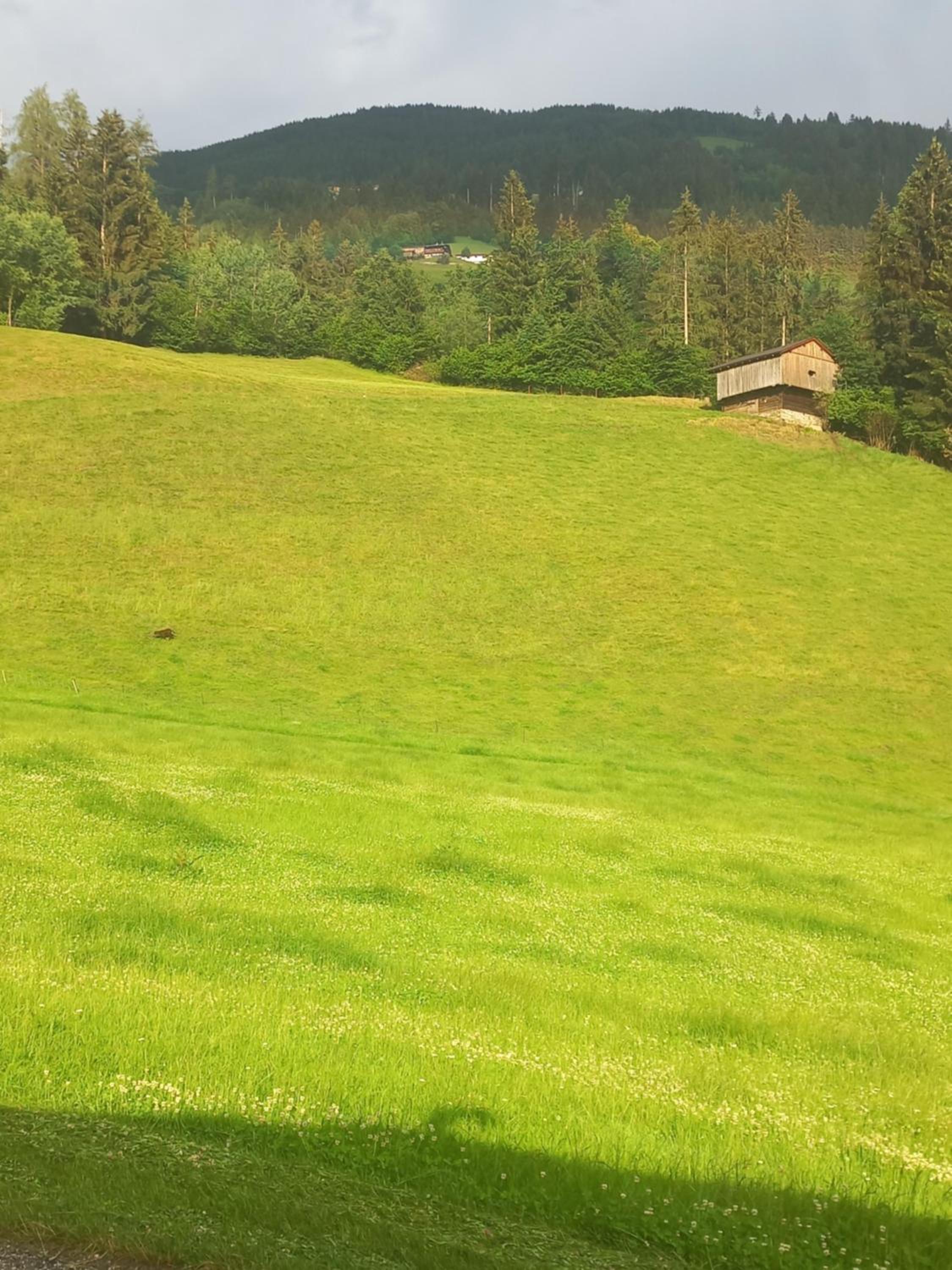 Appart Mount Gilfert View