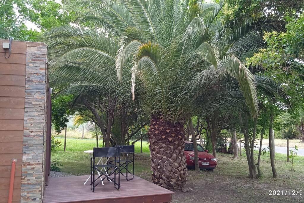 Monoambiente con jardín a una cuadra de la playa view 5