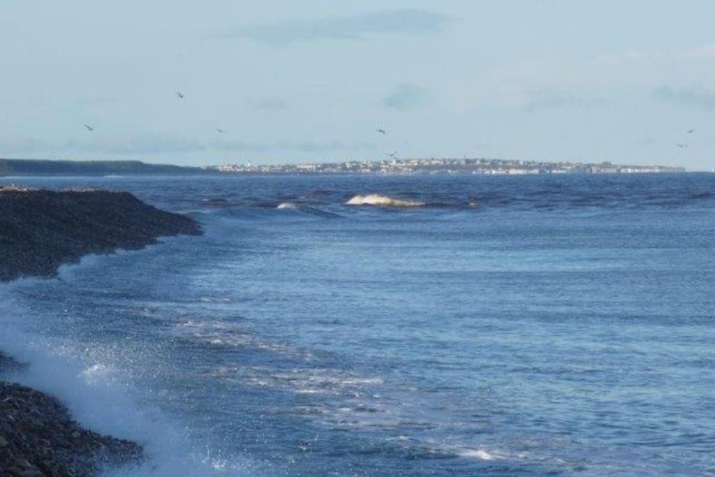 Bungalow in Spey Bay, Moray (Disabled Accessible) view 5