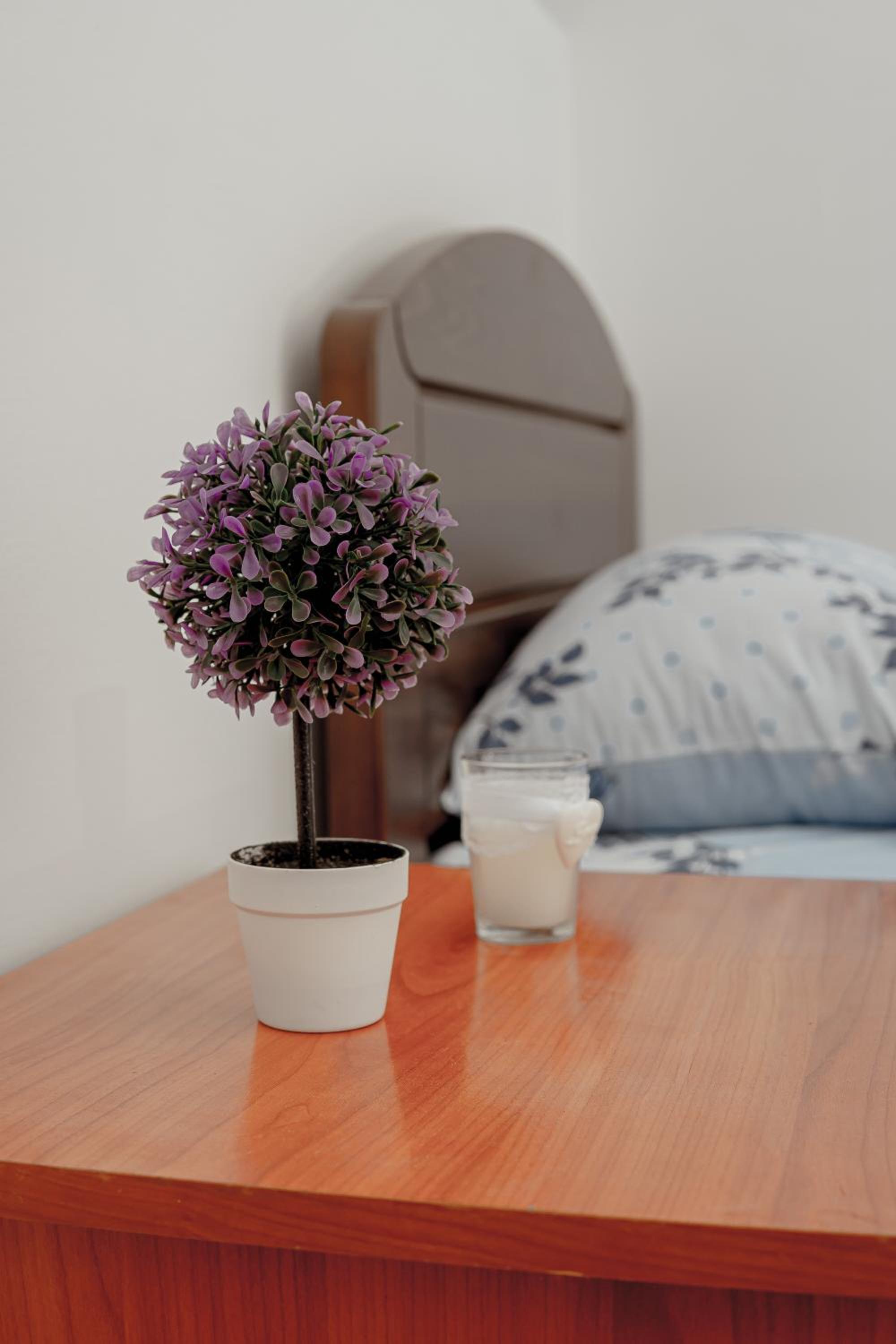 Apartman Biser