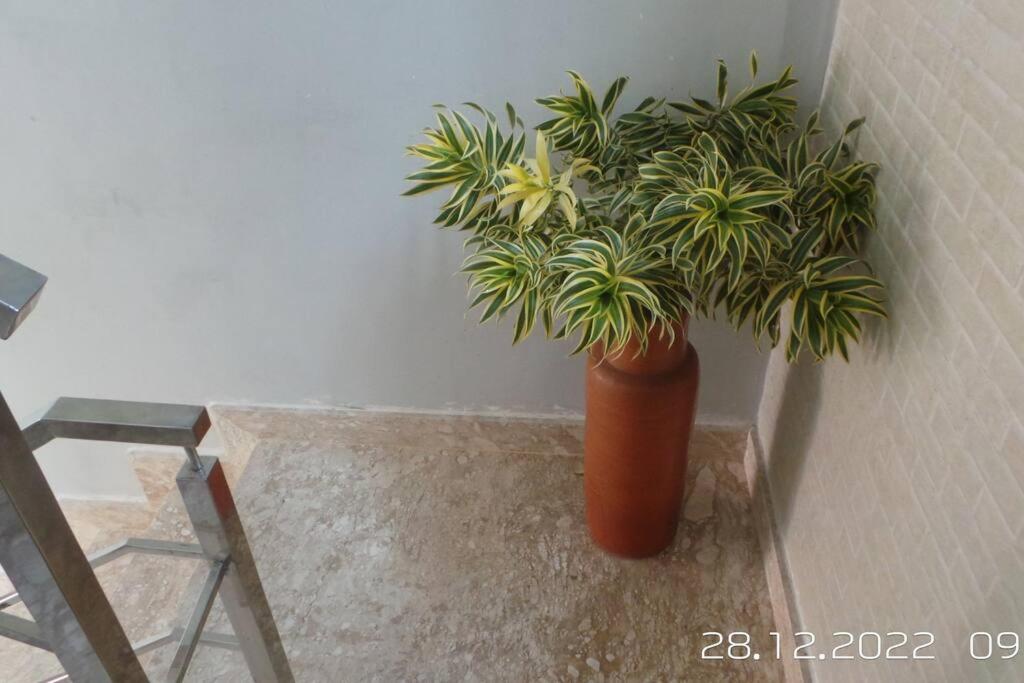 Excelente casa com Piscina