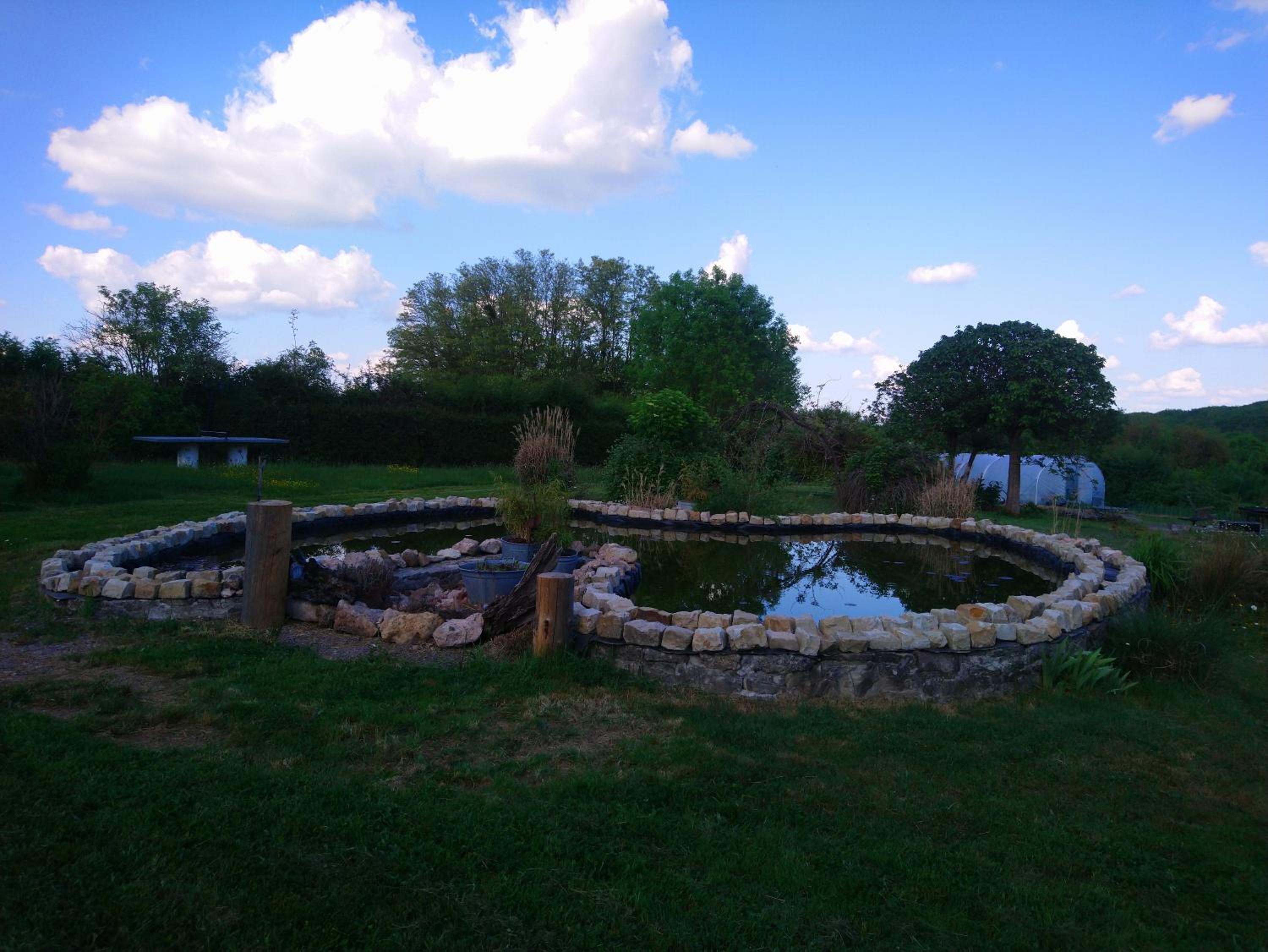 Photo 22