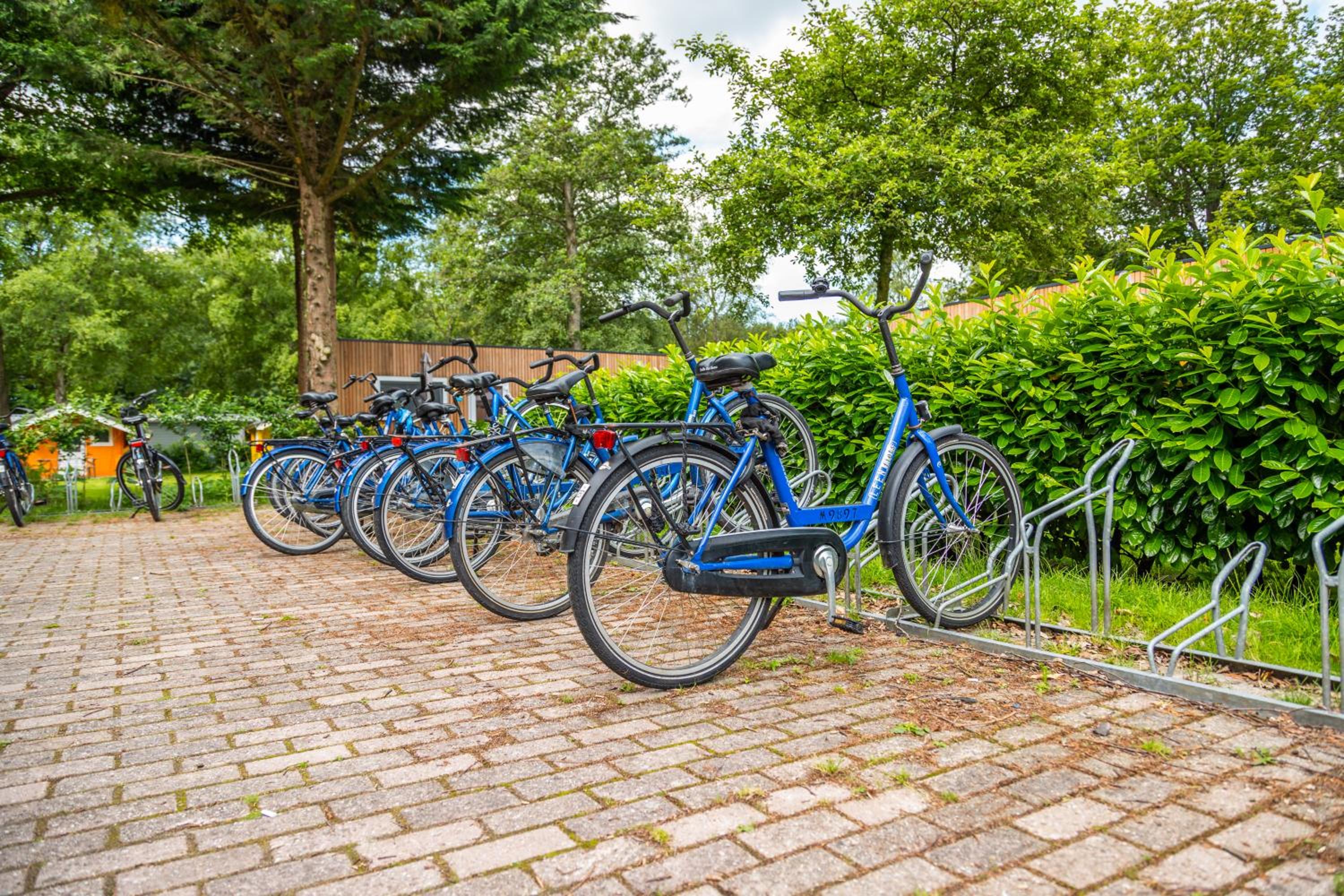Comfort Rooms by EuroParcs Het Amsterdamse Bos view 5