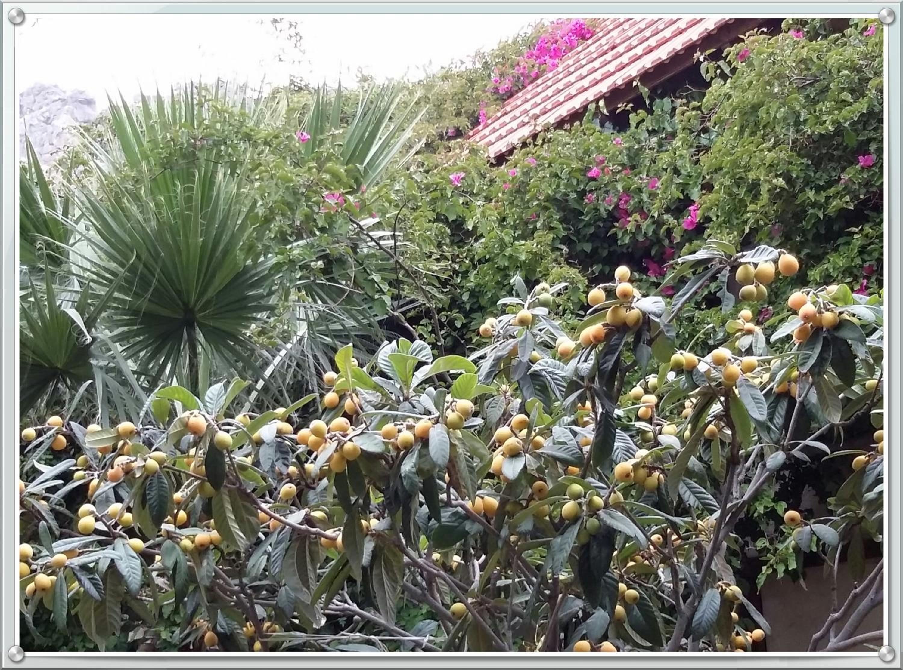 Stunning 2-Bedrooms private Cottage in Palaiochora photo 4