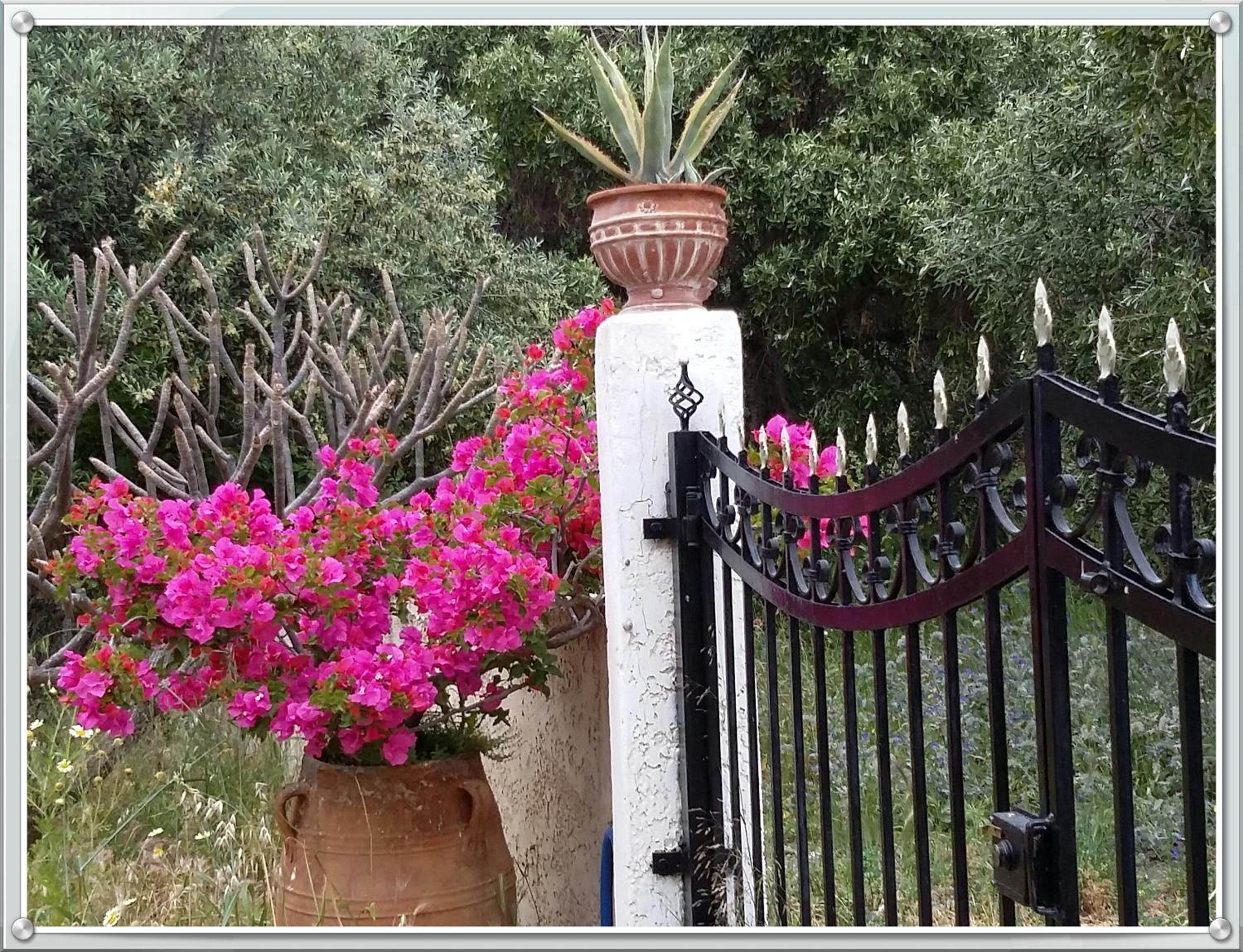 Stunning 2-Bedrooms private Cottage in Palaiochora photo 3