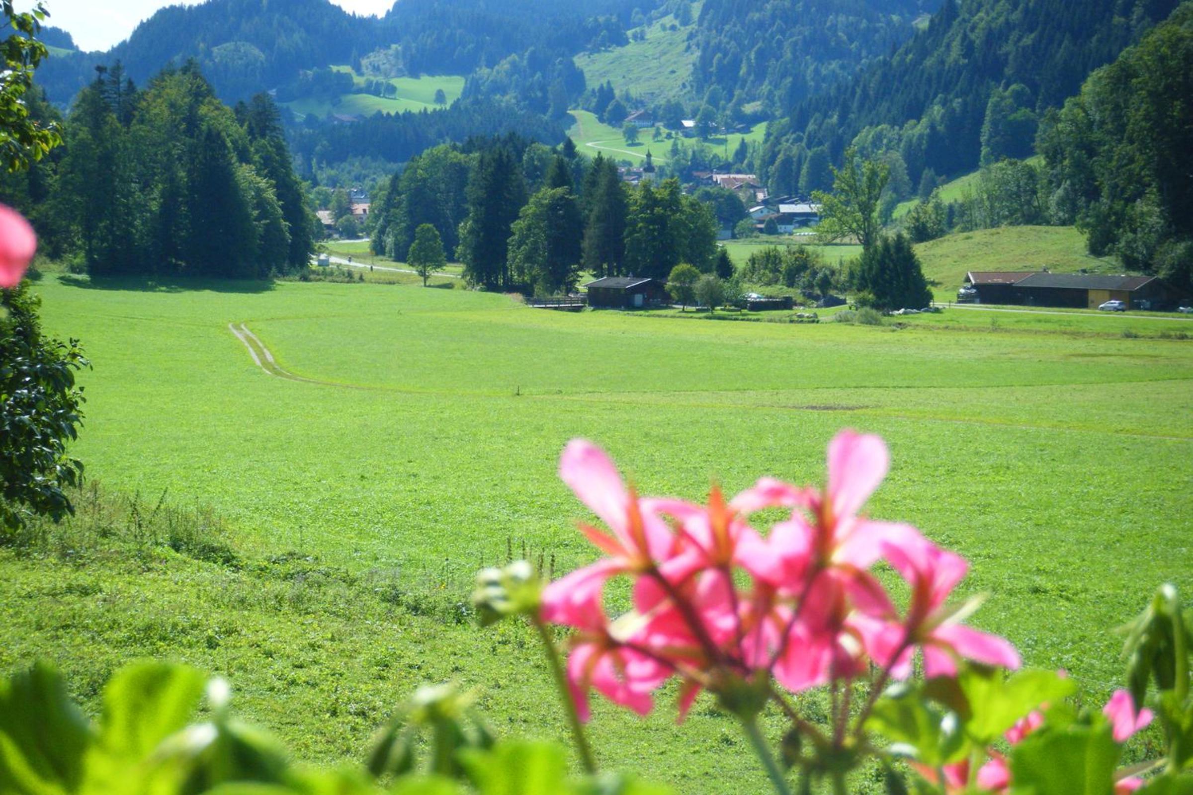 Ferienwohnungen Bergerhof Zuhaus