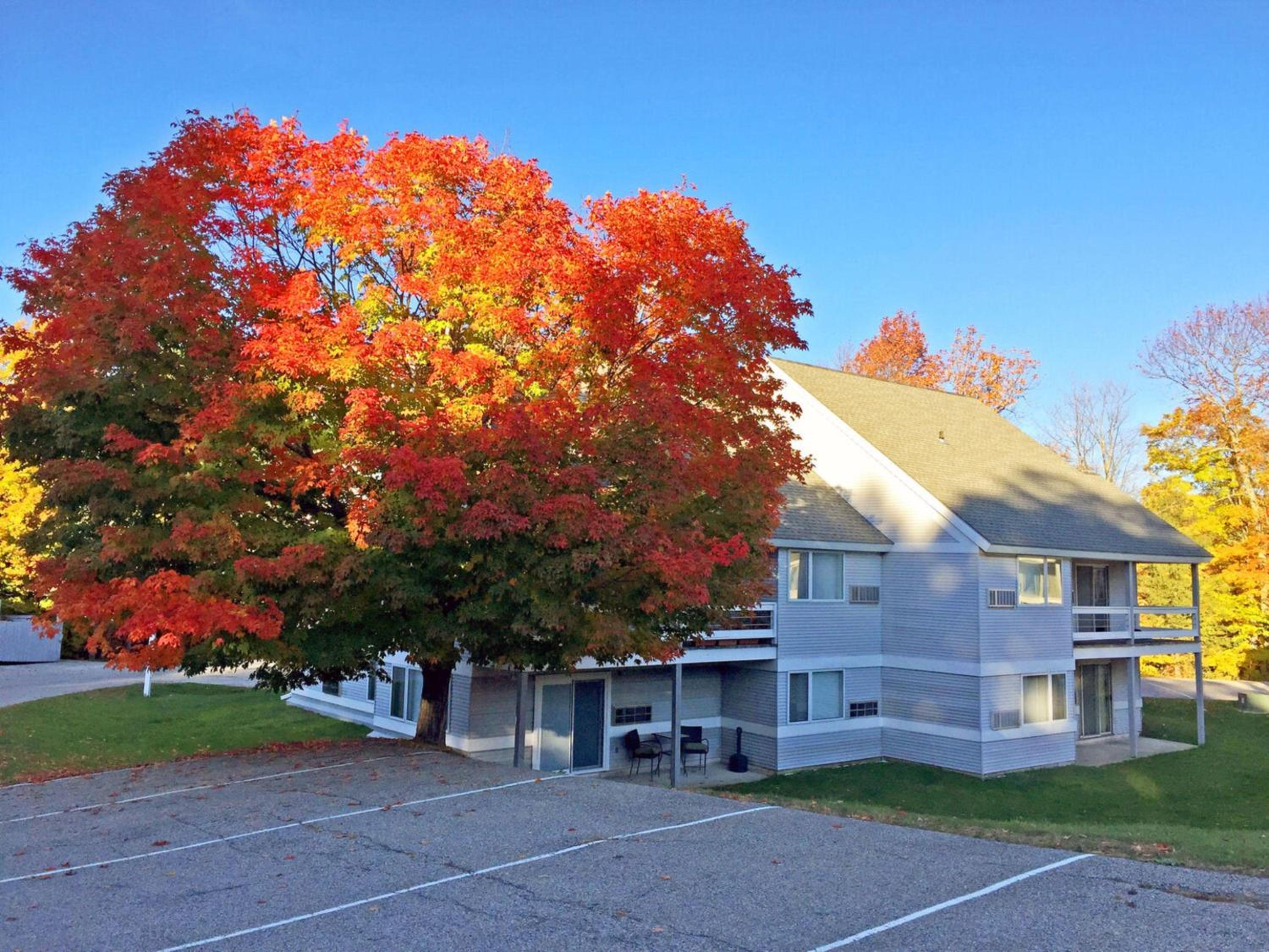 Killington Center Inn & Suites by Killington VR - Studios