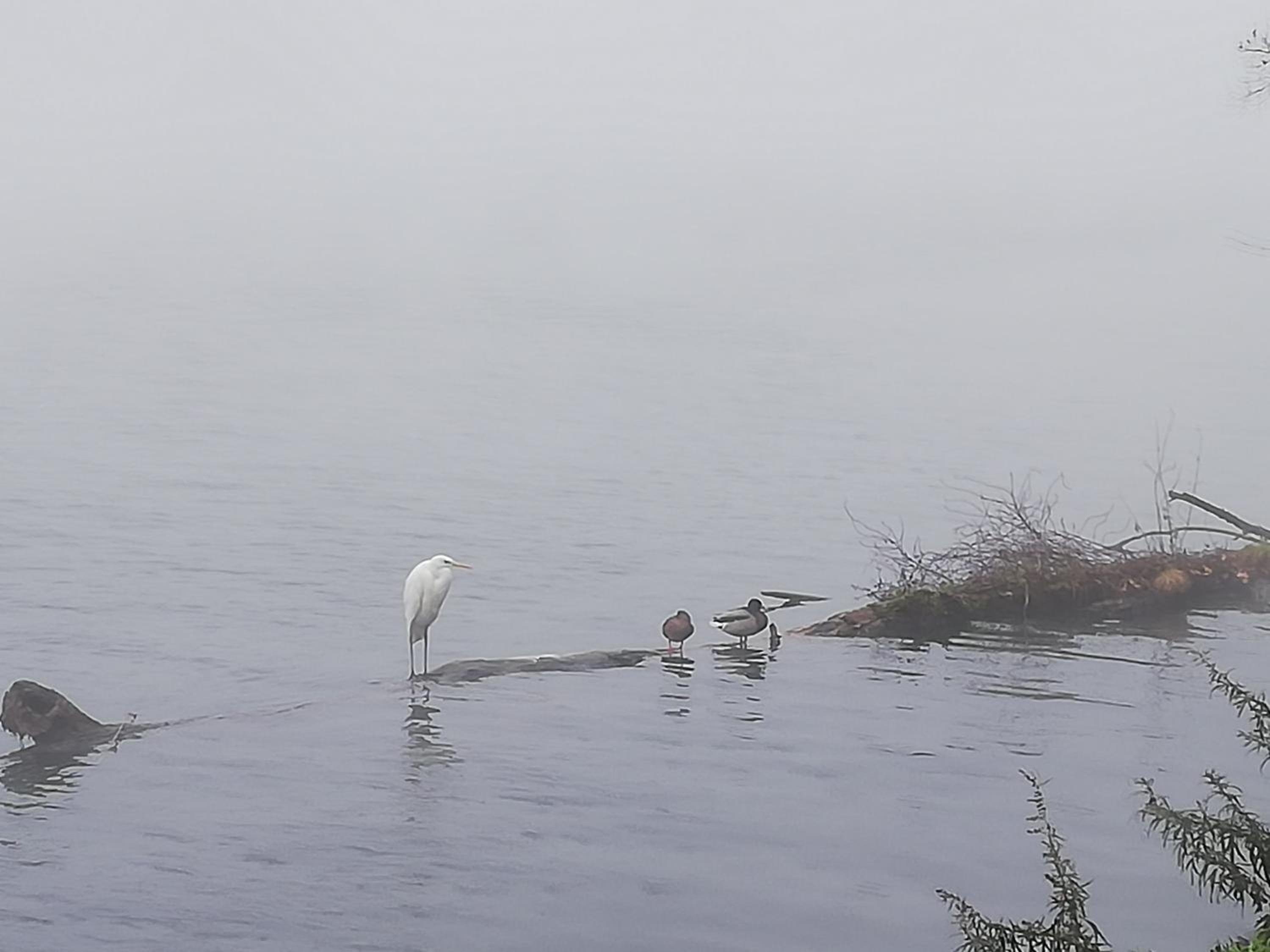 Somma Lombardo Vacations - A due passi dal Castello - Property Image 45