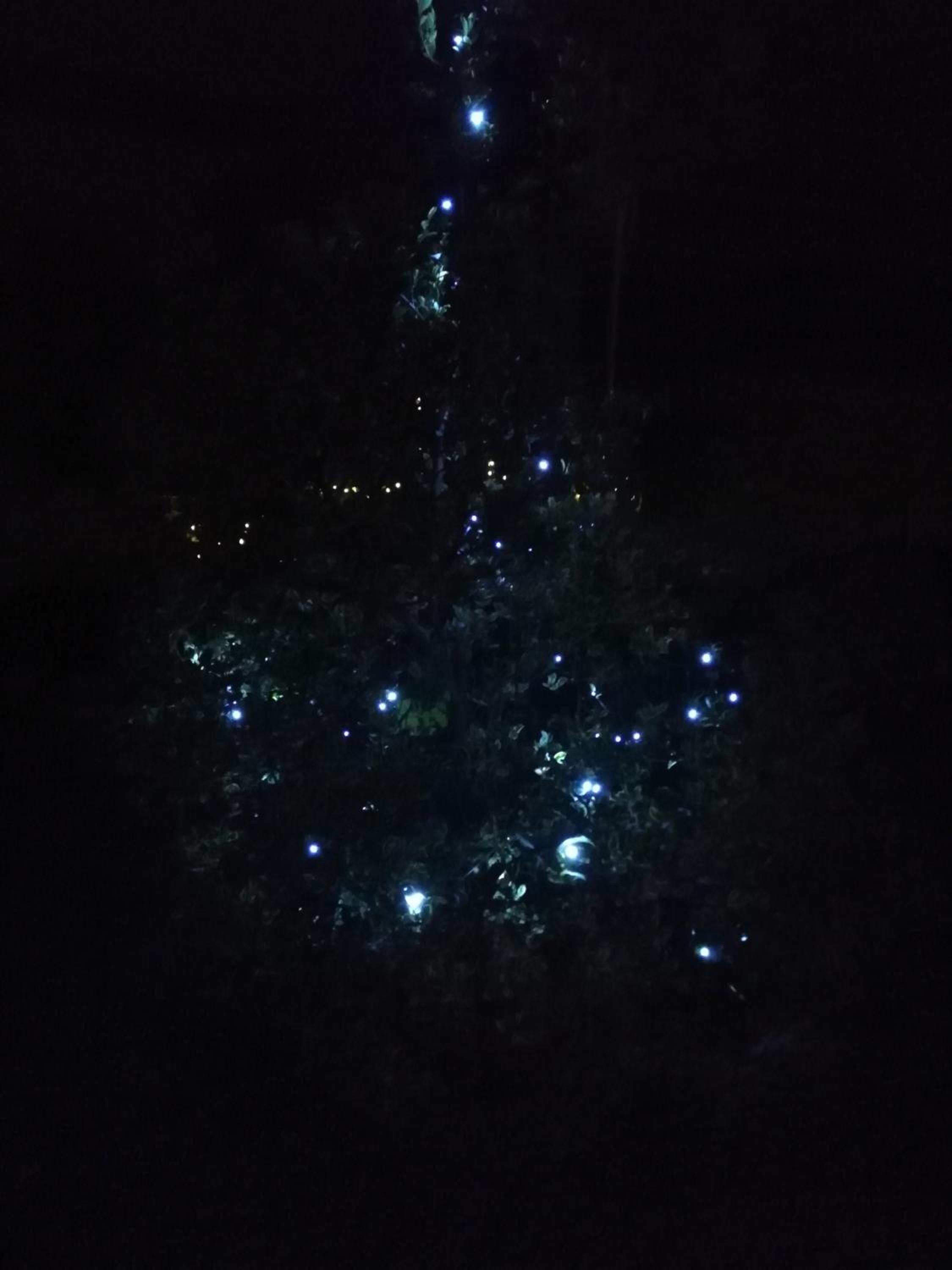 Somma Lombardo Vacations - A due passi dal Castello - Property Image 30