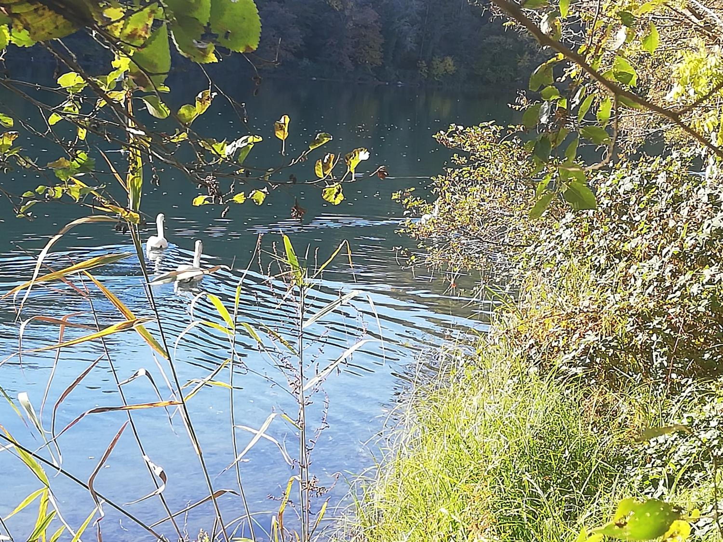 Somma Lombardo Vacations - A due passi dal Castello - Property Image 28