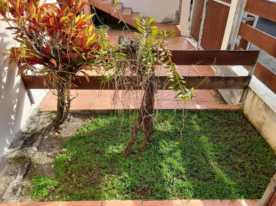 Appartement Mezzanine view 2