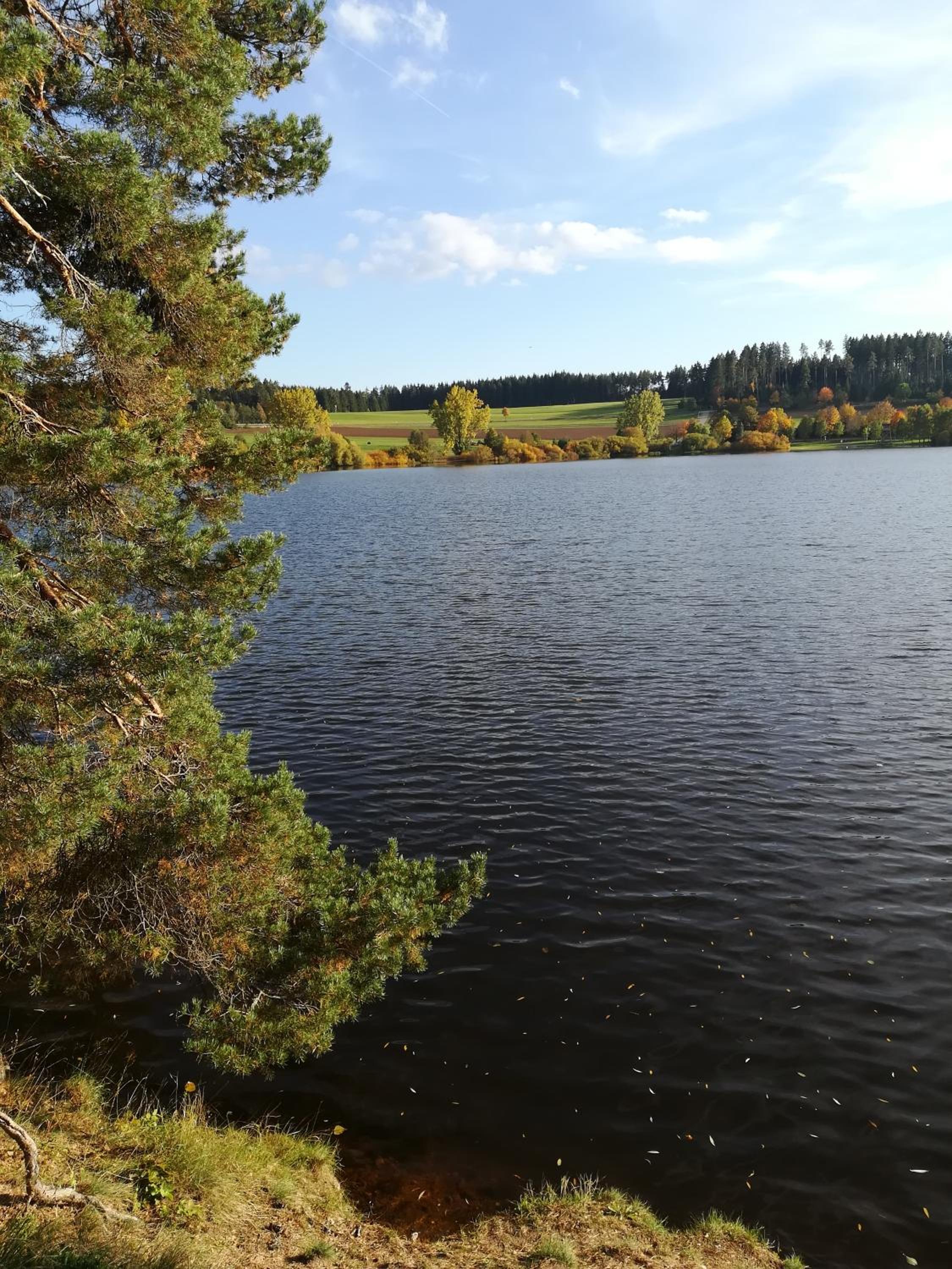 Photo 48