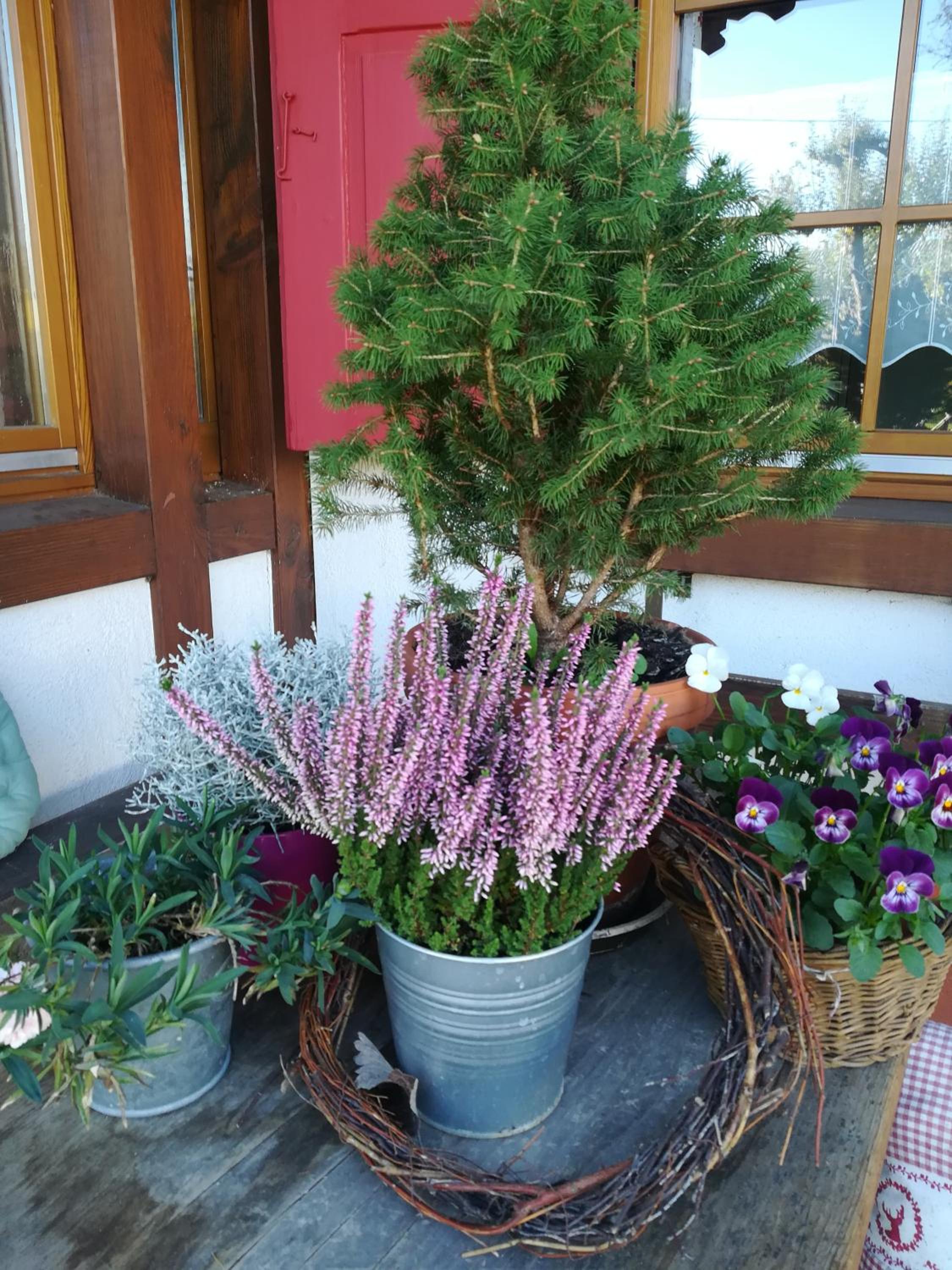 Photo 49