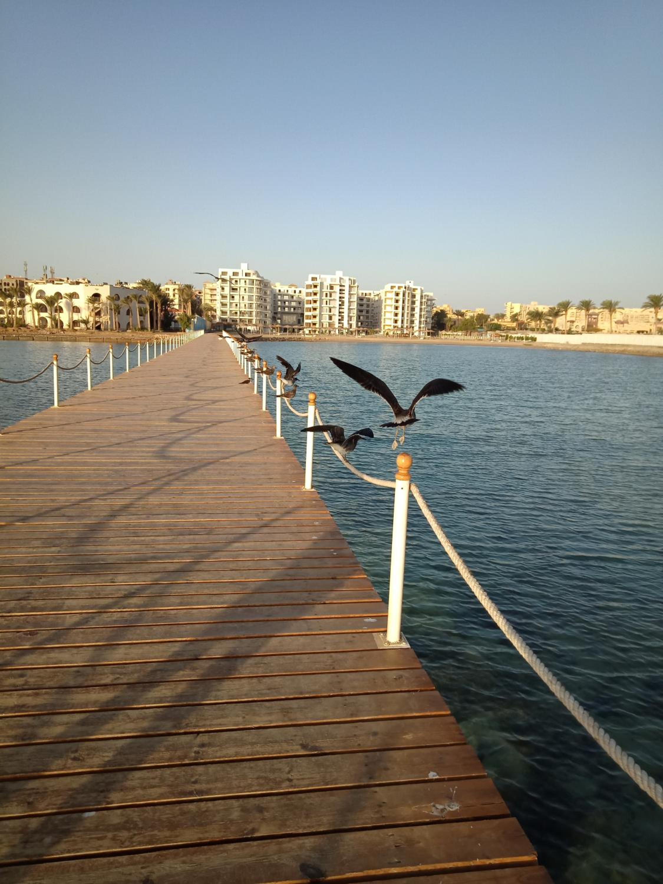 Scandic Resort Apartments