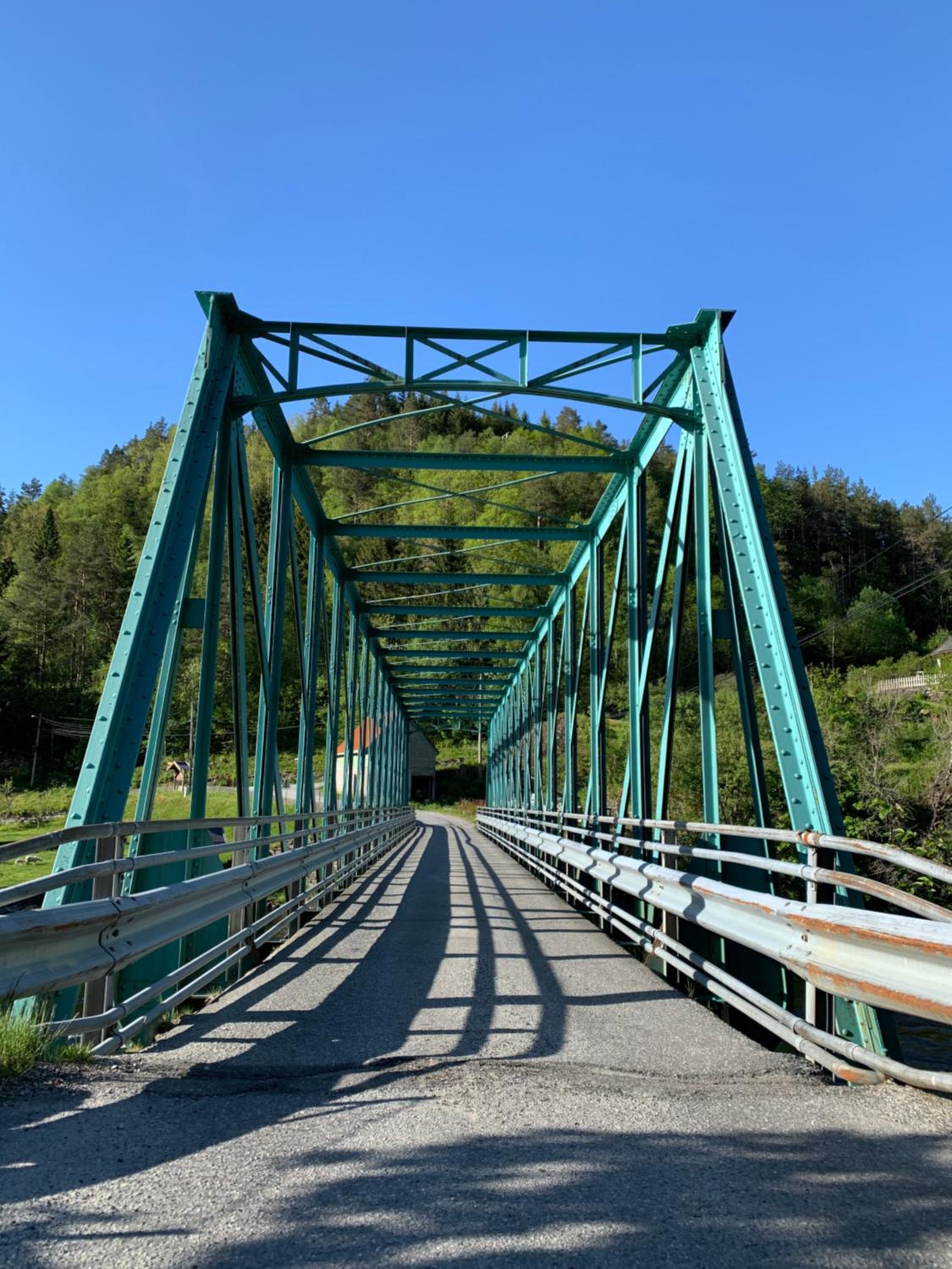 Photo 21