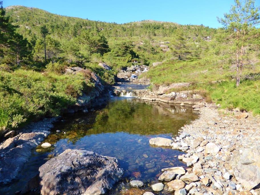 Alone In The Woods With Your Own River Nearby