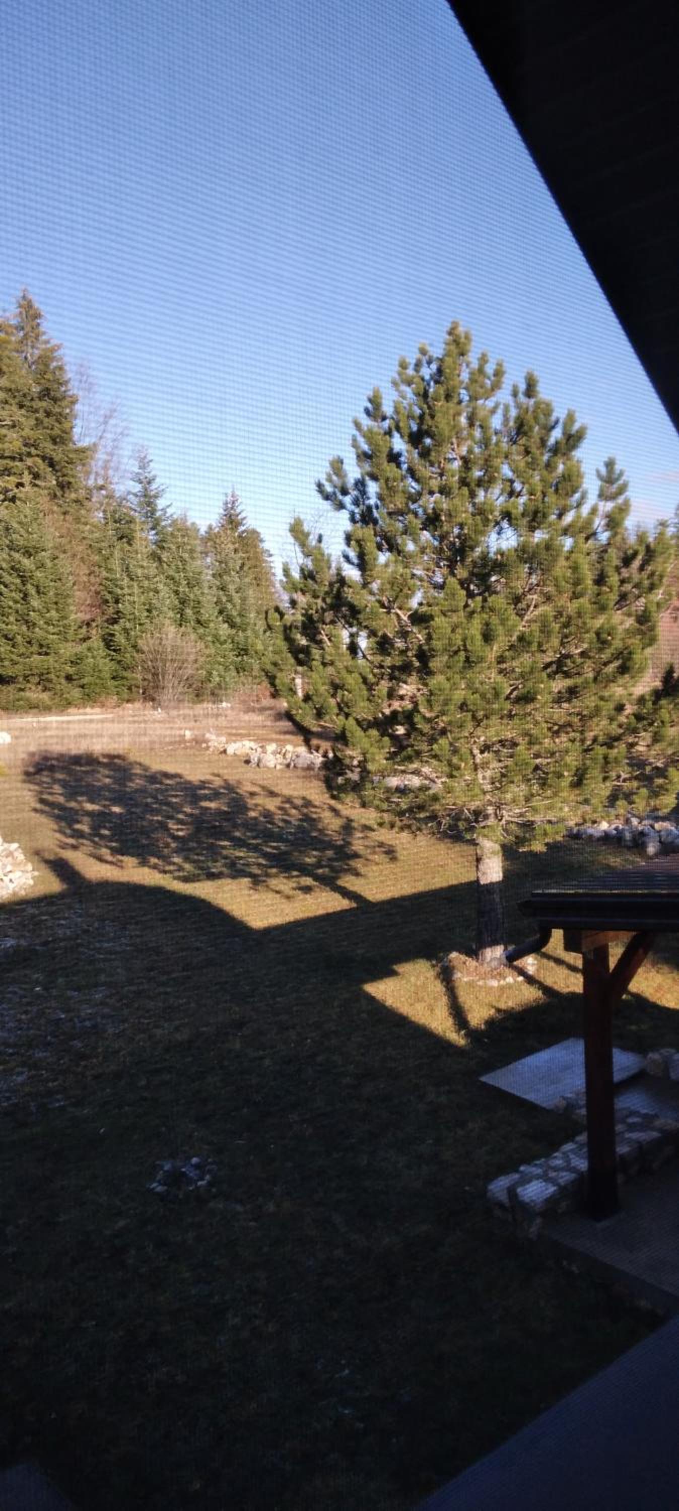 My Home Tara view 3