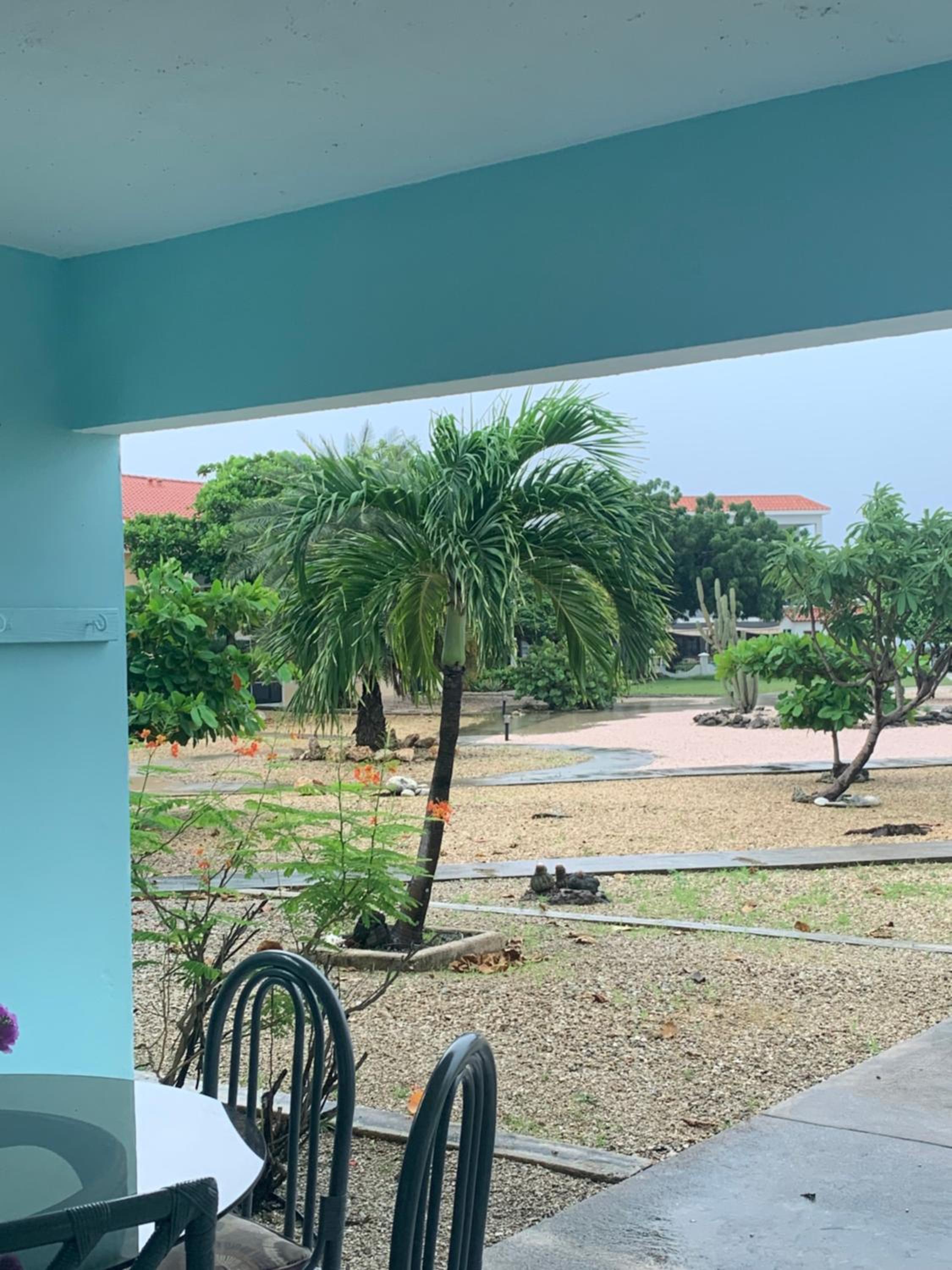 Sand Dollar Apartment B11 Serenity By The Sea