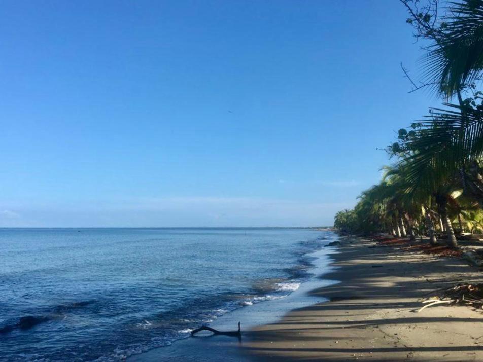 Casa Manglar
